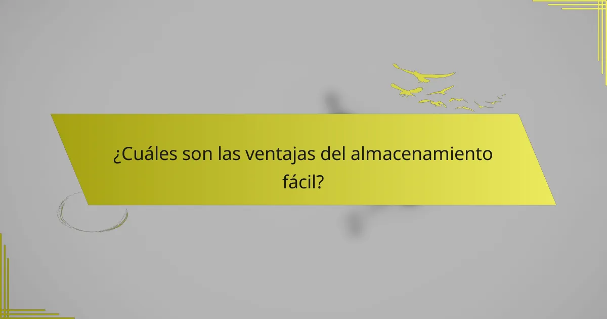 ¿Cuáles son las ventajas del almacenamiento fácil?